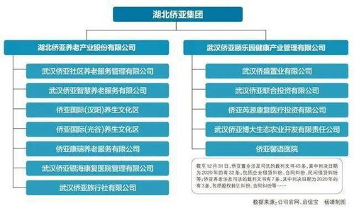疫情壓頂還是模式缺陷 湖北最大養老集團疑資金鏈斷裂,欲處置大廈和醫院資產