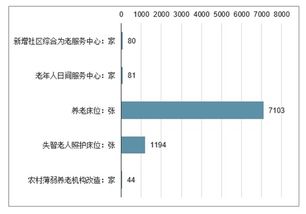 上海養老機構市場分析報告 2020 2026年中國上海養老機構行業分析及投資可行性報告 