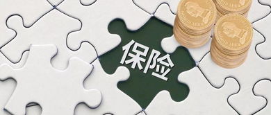 康養產業 兩大國務院戰略支持 四大政府資金支持 五大投資主體