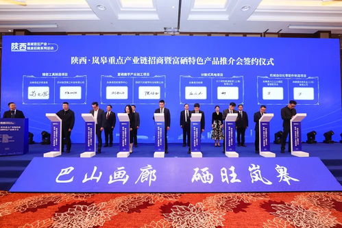 陜西嵐皋舉行重點產業鏈招商暨富硒特色產品推介會