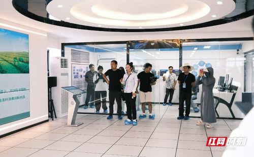 起舞湘贛邊丨讓城市文旅 出圈 株洲振興 有范