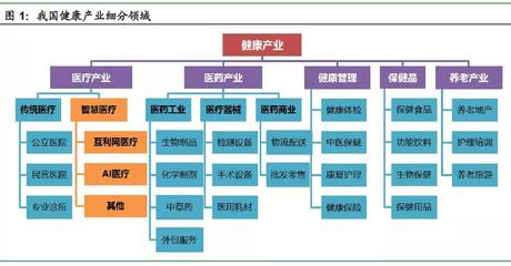 醫(yī)療“智慧化”,未來醫(yī)療的必由之路-健康產(chǎn)業(yè)投資機(jī)會(huì)