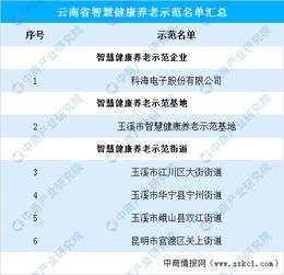 養老產業發展空間巨大 云南省智慧健康養老示范名單匯總